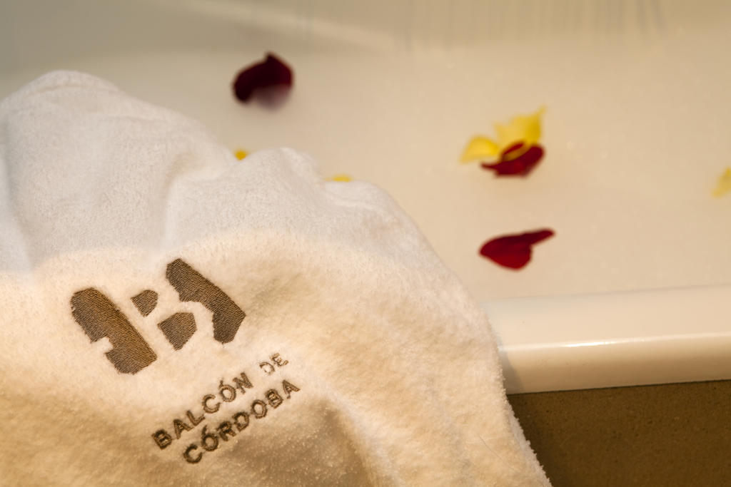 Hotel Balcon De Cordoba